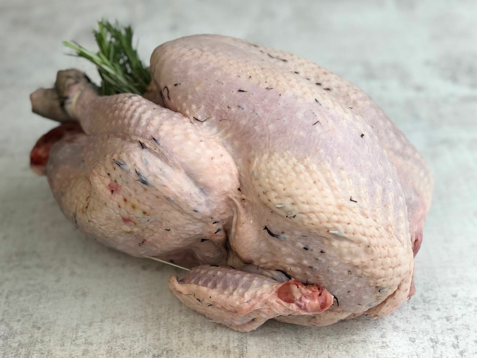 TURKEY