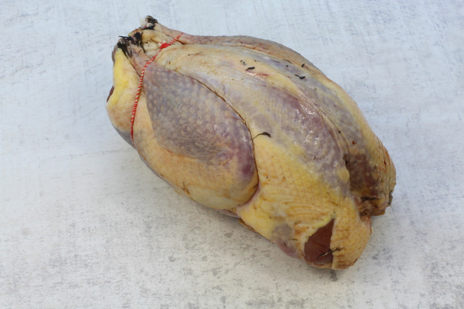 PHEASANT